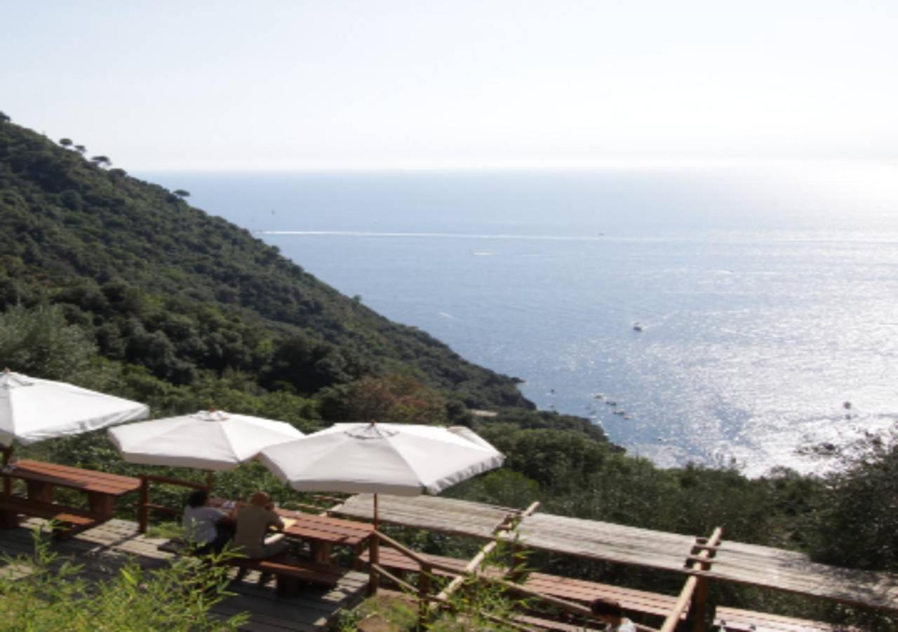 Farm stay Agririfugio Molini Camogli